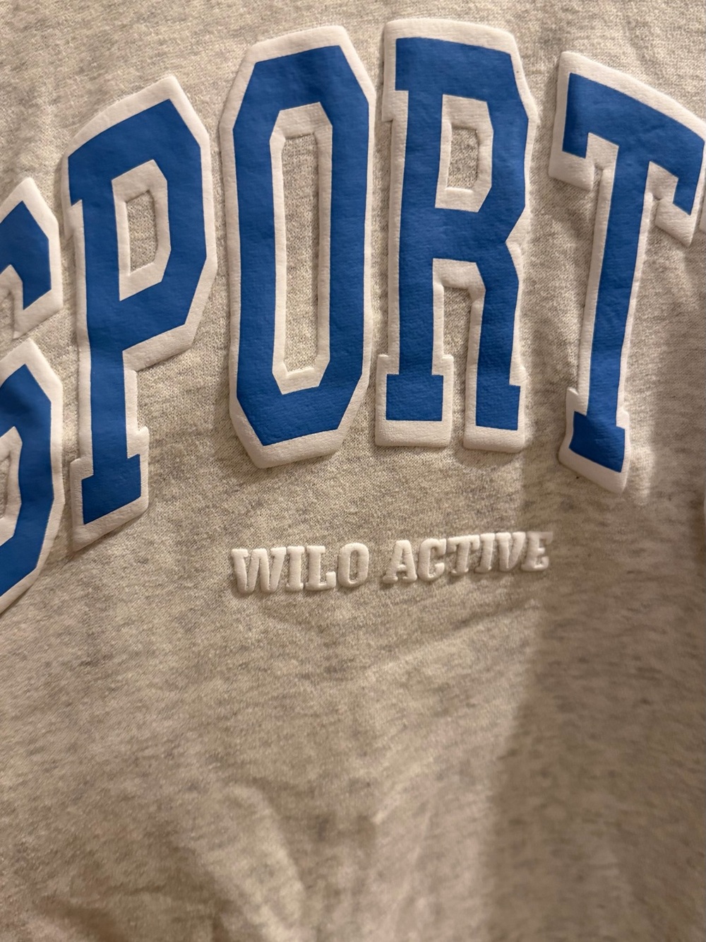 Sporty Graphic Hoodie - Light Gray with Blue Lettering - Picture 2 of 6